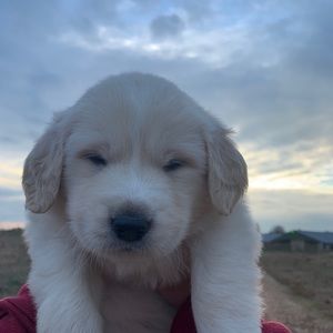 Meet your Posher, Elisa